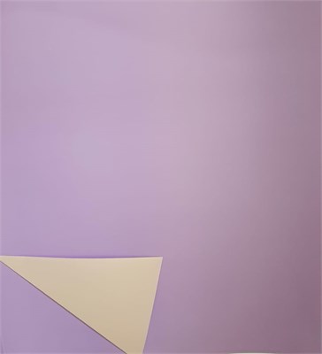 Пленка упак. д/цветов 58*58см двухстор. сиреневая с персиковым 1л 33098 - фото 10339