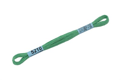Нитки д/вышивания "Gamma" мулине 100% хлопок 8м №5210 зеленый 19069 - фото 11359