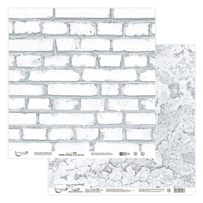 Бумага д/скрапа "Mr.Painter" PSR 190908 "Вокруг меня. Белый 2" 190 г/кв.м 30.5*30.5см 106863 - фото 19161