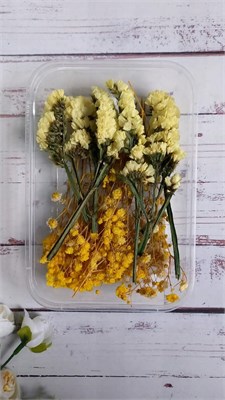 Сухоцветы д/творчества и декора "цветочки" Статица желтая 107332 - фото 19310