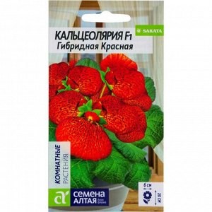 Семена Кальцеолярия гибридная красная 5шт Семена Алтая 107879 - фото 19888