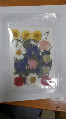 Декор Сухоцветы мини "цветочки" ассорти 10*14см, ромашки микс 108610 - фото 21072