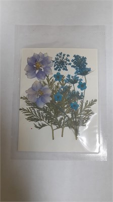 Декор Сухоцветы мини "цветочки" ассорти 10*7,5см голубой микс 108625 - фото 21633