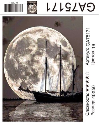 Алмазная мозаика 9D 40*50см GA75171 115037 - фото 29124