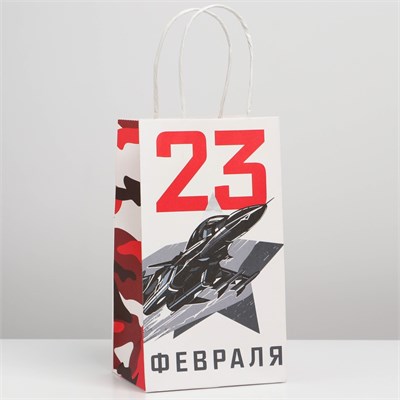 Пакет крафтовый «23.02», 12×21×9см 115296 - фото 29442