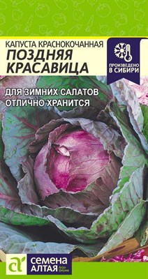 Семена Капуста краснокочанная Поздняя красавица 0,3гр Семена Алтая 115776 - фото 29749