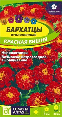 Семена Бархатцы Красная вишня 0,3гр Семена Алтая 116349 - фото 30520