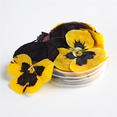 Цветы съедобные «Виола тёмно-желтая» 5шт, д/капкейков, тортов - фото 31417