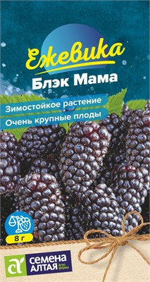 Семена Ежевика Блэк мама 0,3гр Семена Алтая 117300 - фото 31583