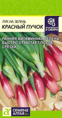 Семена Лук на зелень Красный пучок 0,5гр Семена Алтая 117397 - фото 31704