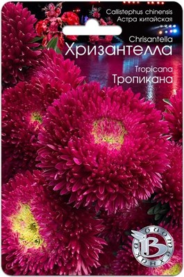 Семена Астра китайская Хризантелла Тропикана 30шт 117490 - фото 31803