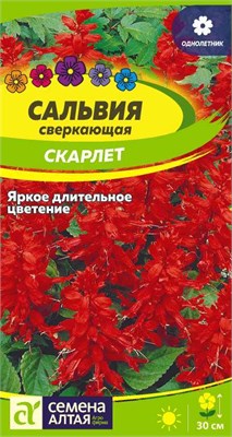 Семена Сальвия Скарлет 0,1гр Семена Алтая 117770 - фото 32239