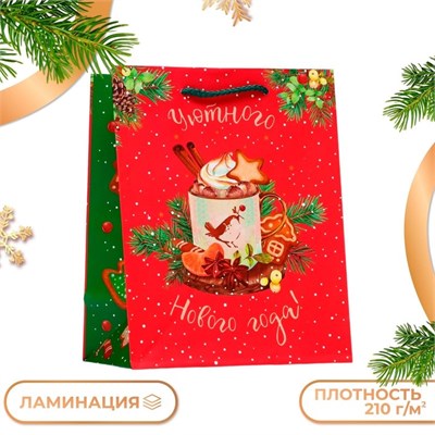 Пакет подарочный "Глинтвейн", 18*22,3*10 см. 121329 - фото 38218