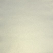 Бумага д/скрапа "Mr.Painter" PSTM 250 г/кв.м 30.5*30.5 см 121775 - фото 38589