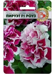 Семена Петуния Пируэт роуз 10шт Биотехника 122897 - фото 39686