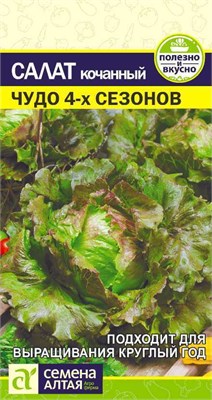 Семена Салат кочанный Чудо 4-х сезонов 0,5гр Семена Алтая 115851 - фото 40207