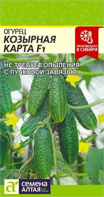 Семена Огурец Козырная карта 5шт Семена Алтая 116038 - фото 40234