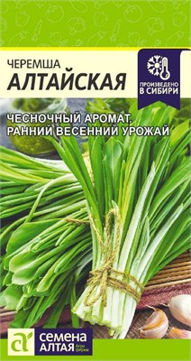 Семена Черемша Алтайская 0,3гр Семена Алтая 117148 - фото 40265