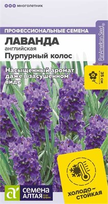 Семена Лаванда английская Пурпурный колос 5шт Семена Алтая 117268 - фото 40275