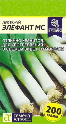 Семена Лук порей Элефант МС 0,5гр Семена Алтая 123455 - фото 40356