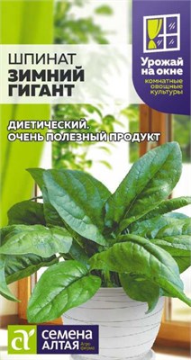 Семена Шпинат Зимний гигант 1гр Урожай на окне Семена Алтая 123476 - фото 40376