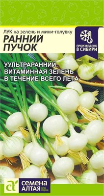 Семена Лук на зелень Ранний пучок 0,3гр Семена Алтая 123520 - фото 40417