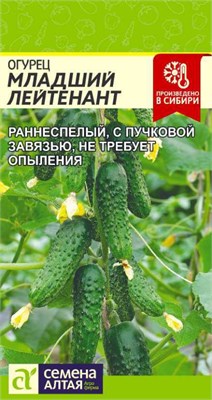 Семена Огурец Младший лейтенант 5шт Семена Алтая 123643 - фото 40525