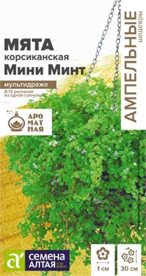 Семена Мята Мини минт 3шт Семена Алтая 123656 - фото 40544