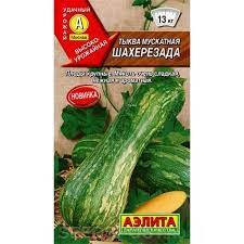 Семена Тыква мускатная Шахерезада 1гр Аэлита УЦЕНКА 105970 - фото 40602
