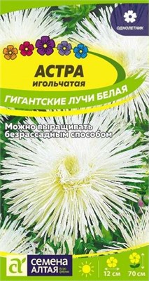 Семена Астра игольчатая Гигантские лучи белая 0,2гр Семена Алтая 107889 - фото 40618