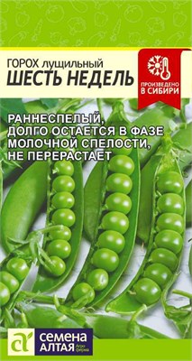 Семена Горох Шесть недель 10гр Семена Алтая 115803 - фото 40670