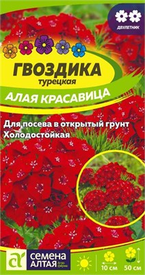 Семена Гвоздика турецкая Алая красавица 0,2гр Семена Алтая 116238 - фото 40704