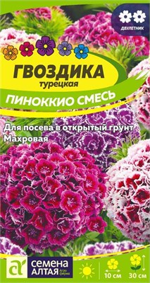 Семена Гвоздика турецкая Пиноккио смесь 0,1гр Семена Алтая 116239 - фото 40705