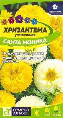 Семена Хризантема увенчанная Санта Моника 0,3гр Семена Алтая 116249 - фото 40709