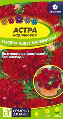 Семена Астра карликовая Тысяча чудес Карминная 0,15гр Семена Алтая 116336 - фото 40721