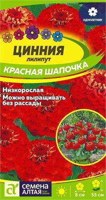 Семена Цинния лилипут Красная шапочка 0,2гр Семена Алтая 116377 - фото 40737