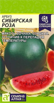 Семена Арбуз Сибирская роза 1гр Семена Алтая 116674 - фото 40743