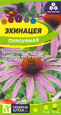 Семена Эхинацея Пурпурная 0,2гр Семена Алтая 117795 - фото 40773