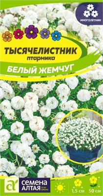 Семена Тысячелистник Белый жемчуг 0,05гр Семена Алтая 123746 - фото 40902