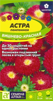 Семена Астра помпонная Вишнево-красная 0,2гр Семена Алтая 123750 - фото 40905