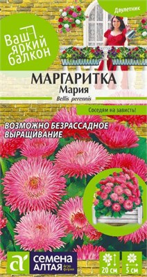 Семена Маргаритка Мария 0,05гр Семена Алтая 123752 - фото 40907