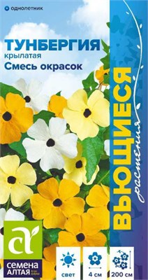 Семена Тунбергия крылатая Смесь окрасок 0,2гр Семена Алтая 123795 - фото 40949