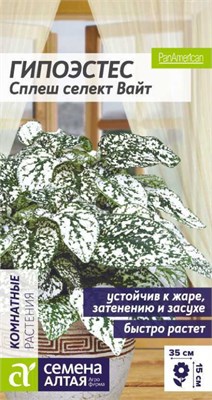 Семена Гипоэстес Сплеш селект Вайт 5шт Семена Алтая 123807 - фото 40961