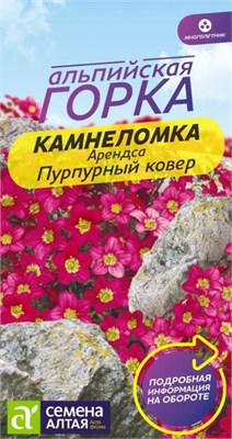 Семена Камнеломка Пурпурный ковер 0,01гр Семена Алтая 123836 - фото 40990