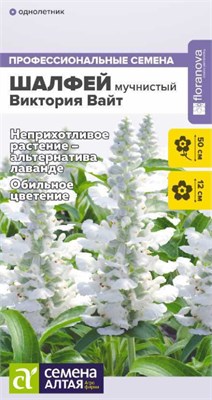Семена Шалфей Виктория вайт 10шт Семена Алтая 123839 - фото 40993
