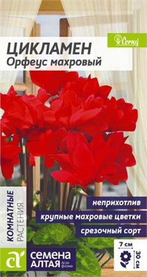 Семена Цикламен Орфеус махровый 3шт Семена Алтая 124035 - фото 41184