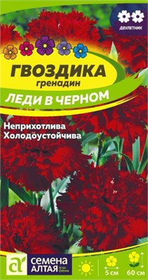 Семена Гвоздика гренадин Леди в черном 0,05гр Семена Алтая 124054 - фото 41203