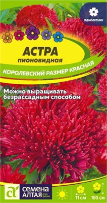 Семена Астра пионовидная Королевский размер красная 0,2гр Семена Алтая 124058 - фото 41207
