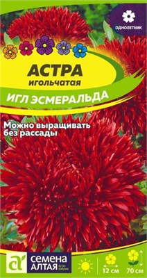 Семена Астра игольчатая Игл Эсмеральда 0,2гр Семена Алтая 124067 - фото 41216