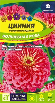 Семена Цинния георгиновидная Волшебная роза 0,3гр Семена Алтая 124209 - фото 41341